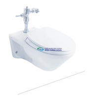 Bồn cầu treo tường TOTO CW550 thoát ngang két nước âm tường nắp TC393VS