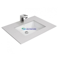 Chậu lavabo âm bàn American Standard WP-F514 chính hãng