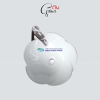 Chậu lavabo đặt bàn GAMA GMLB16 chính hãng