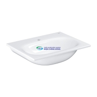 Chậu lavabo treo tường GROHE 3956800H dòng Essence