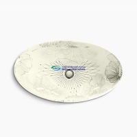 Chậu lavabo nghệ thuật đặt bàn Kohler K-14273T-SMC-0