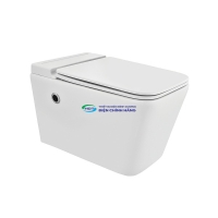 Bồn cầu treo tường Jaquar ARS-WHT-39961NBIUFSMTL nắp đóng êm