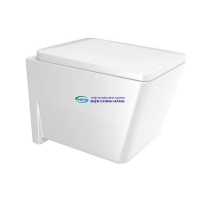 Bồn cầu treo tường Jaquar KUS-WHM-35953BIUFPM nắp đóng êm