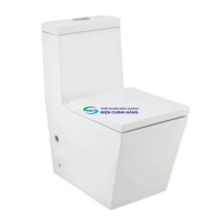 Bồn cầu 1 khối Jaquar KUS-WHT-35851S300UF nắp đóng êm