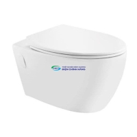 Bồn cầu treo tường Jaquar VGS-WHT-81953UF nắp đóng êm kết hợp