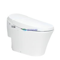 Bàn cầu thông minh Viglacera V91